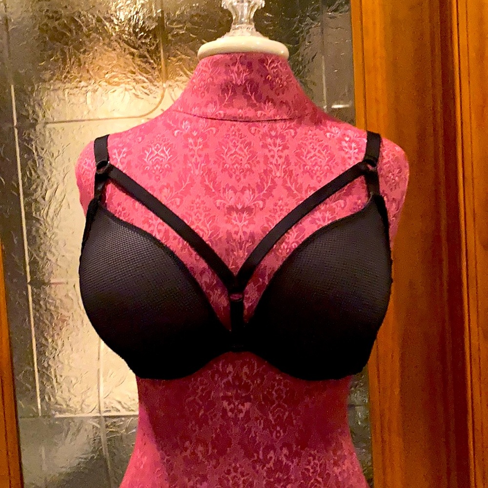 Torrid Bra
